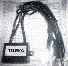 KIT DE TELEMENSAGEM DE NATAL COM 10 MIL TELEMENSAGENS