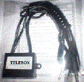 KIT DE TELEMENSAGEM DE NATAL COM 10 MIL TELEMENSAGENS